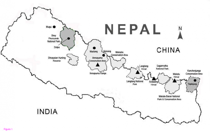 雪豹研究地点(突出显示)——位于尼泊尔西部的Shey Phoksundo国家公园(SPNP)和位于尼泊尔东部的Kanchanjunga保护区(KCA)。betway必威官网平台安纳普尔纳保护区、Rbetway必威官网平台olwaling Himal和Sagarmatha国家公园也是雪豹的主要栖息地。