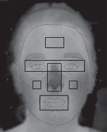 该图显示了带有描绘图和五个ROI的灰度热图像的示例：（a）额头区域，（b）周围区域，（c）鼻部区域，（d）嘴巴区域，（e）脸颊区域（平均）
