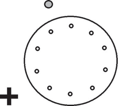 巴恩斯迷宫用来测试空间记忆能力在侧边斑点蜥蜴(Uta stansburiana)允许空间导航,线索一圈的形式(灰色)和一个“1”(黑),都位于相邻的墙(至少30厘米从巴恩斯迷宫的中心孔和15.24厘米以上迷宫的飞机)。通往测试室的门也可以用作潜在的视觉暗示