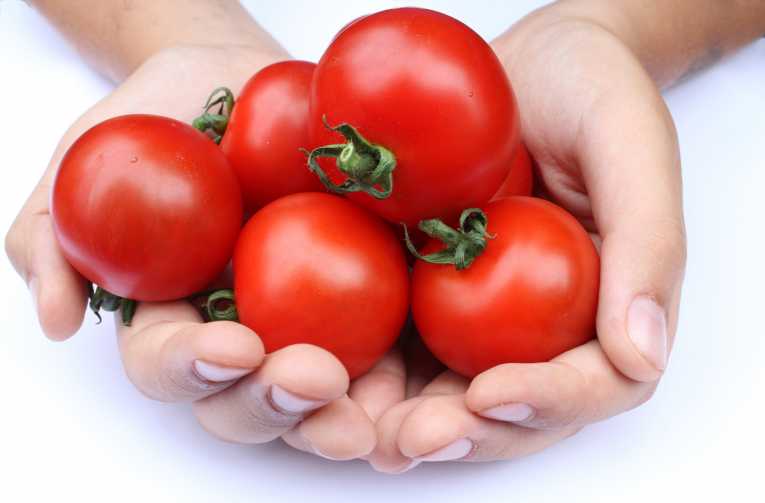 西红柿对健康有益 - 即使在披萨 -必威国际必威官网 报告证实