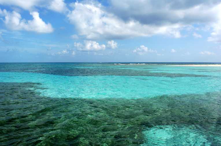 海洋储备如何影响珊瑚和鱼群