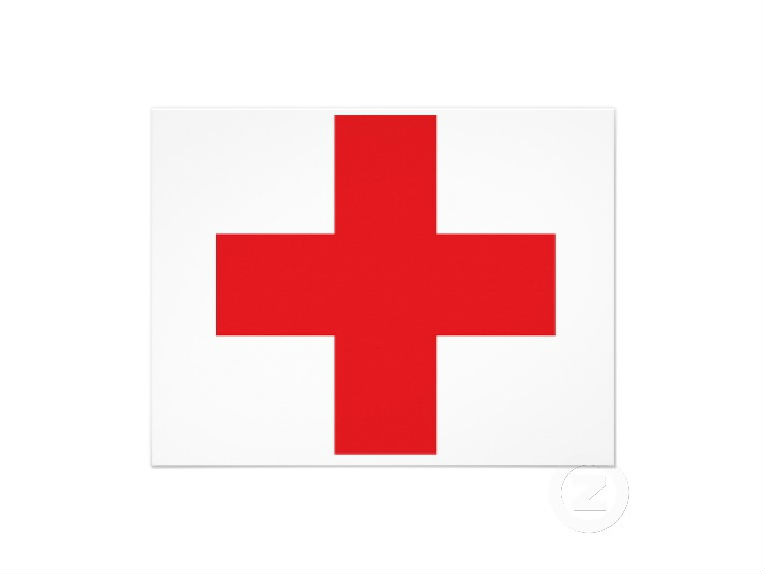 世界红十字会和红新月日