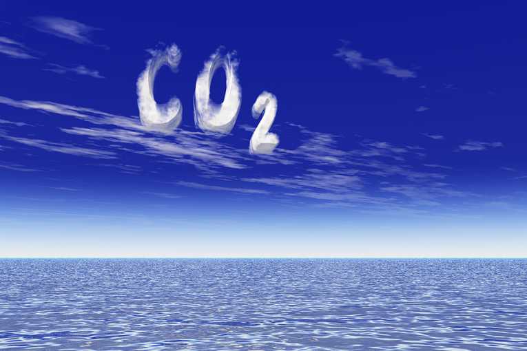 年轻科学家新的碳捕获计划——更新的浮动